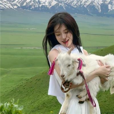 纯种狼2